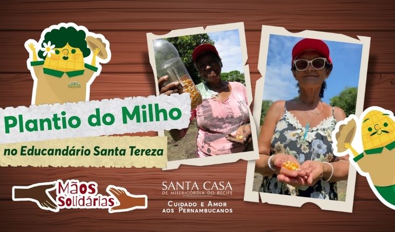 Famílias atendidas pela Santa Casa Recife plantam milho para consumir no São João comunitário